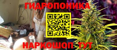 Альфа ПВП Заводоуковск