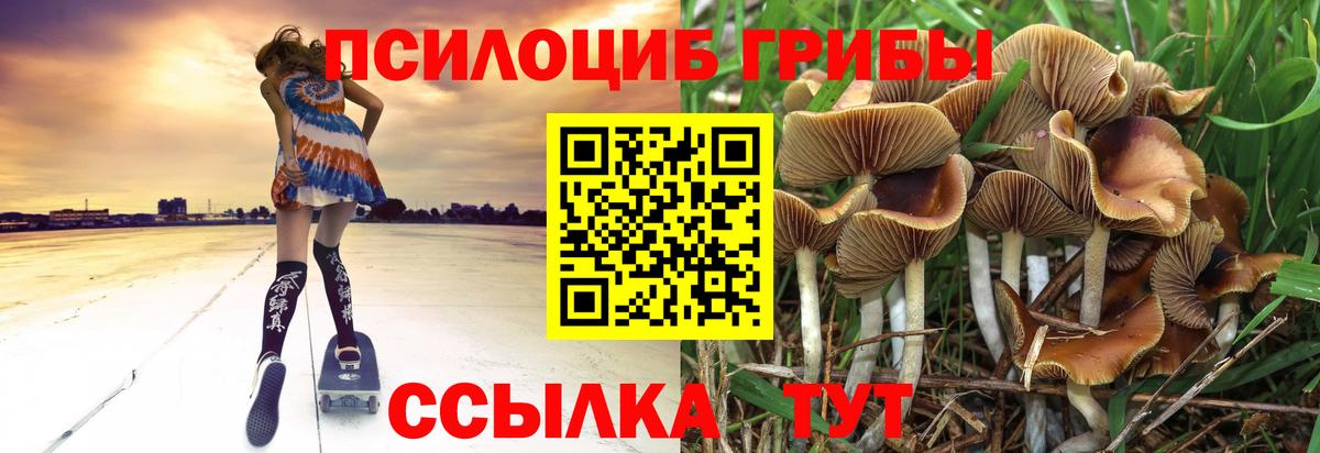 Псилоцибиновые грибы мухоморы Лабытнанги